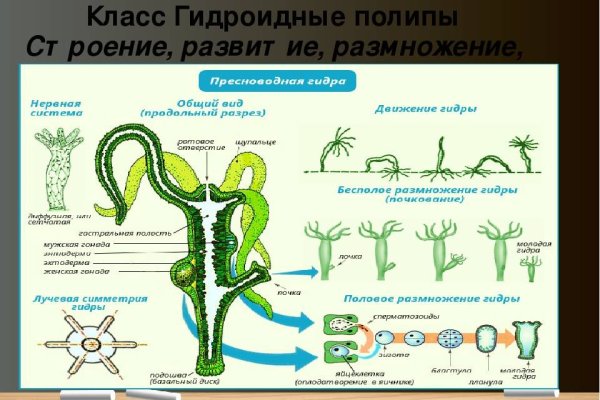 Кракен сайт купить наркотики